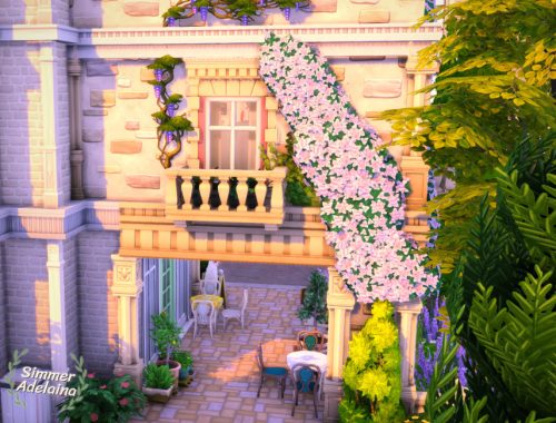 Cozy Study Cafe