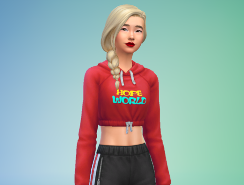 Cropped Hoodie - BTS merch (Discover University required)