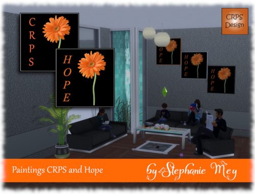 CRPS Stretcher frame
