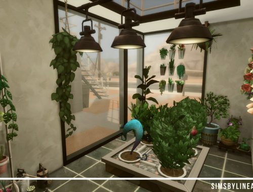 Curious Residency