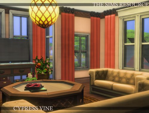 Cypress Vine | noCC