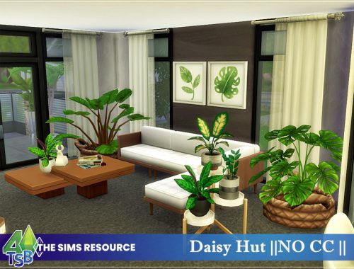 Daisy Hut || NO CC ||