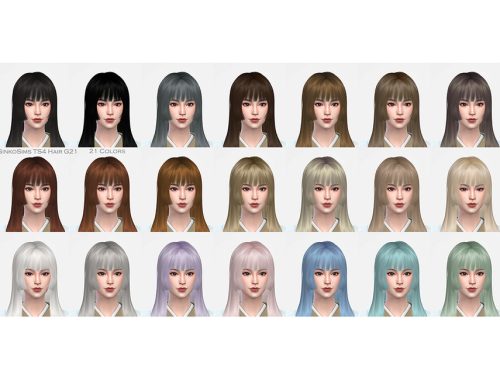 DaisySims Female Hair G21