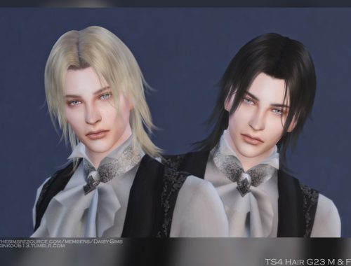 DaisySims Male & Female Hair G23