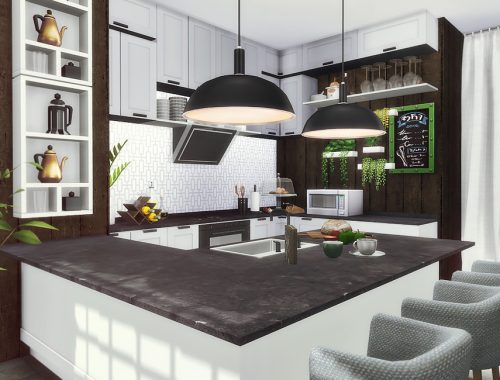 Dani - Kitchen