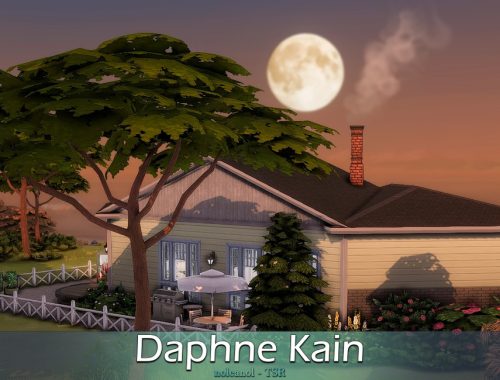 Daphne Kain / No CC