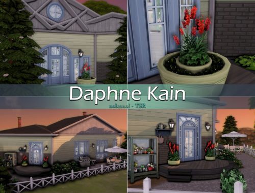Daphne Kain / No CC