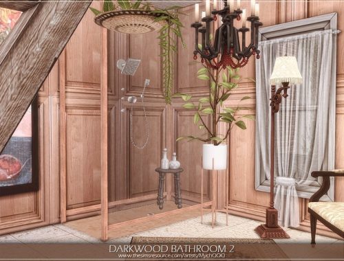 Darkwood Bathroom 2