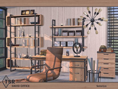 David Office