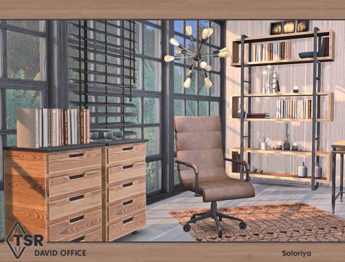 David Office
