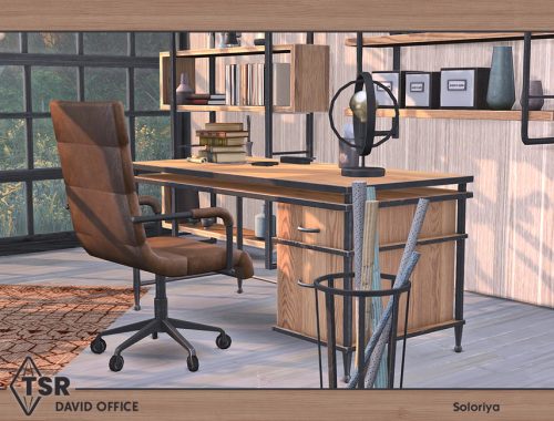 David Office