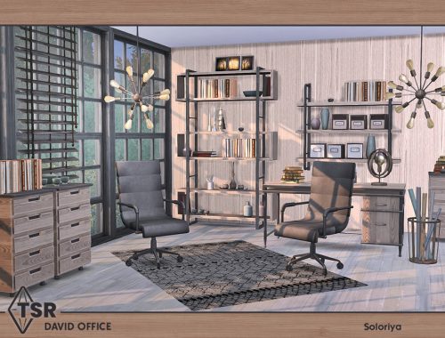 David Office