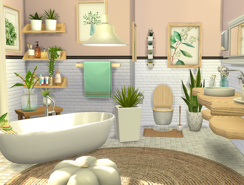 Delia Bathroom - CC