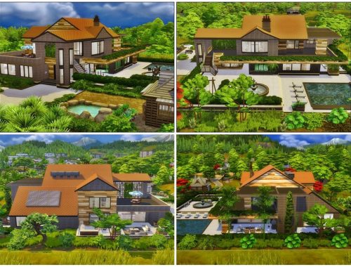 Deluxe contemporary house