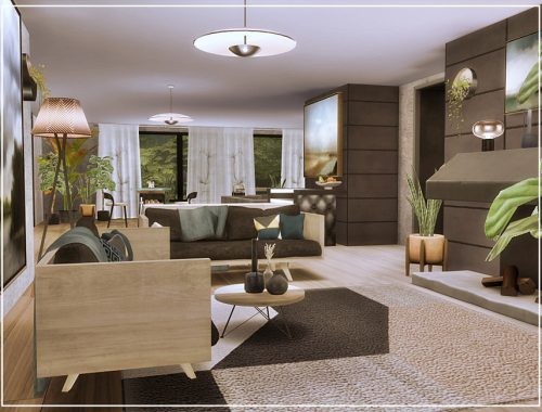Deluxe contemporary house