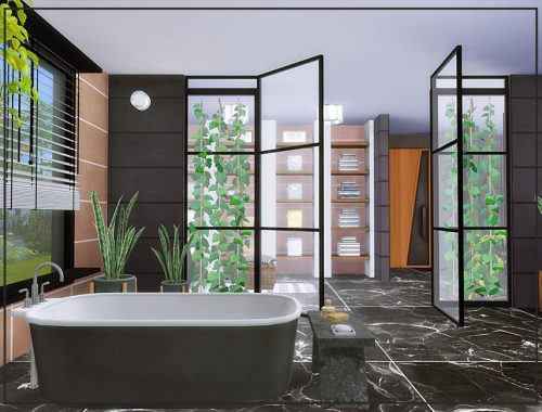Deluxe contemporary house