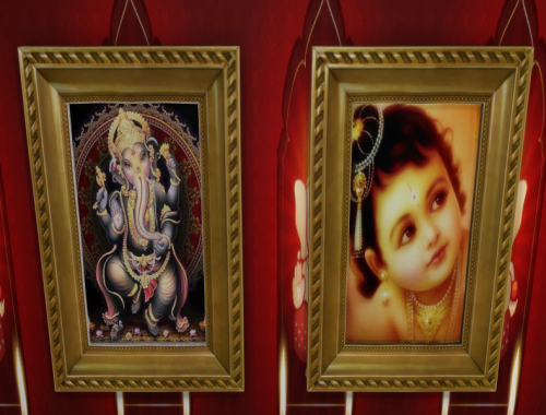 Denyse_Frame Indian small