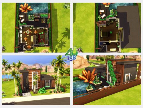 Desert Trail || NO CC ||