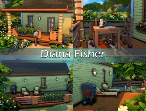 Diana Fisher / No CC