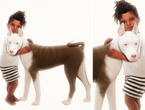 Dogs are not horses Posepack