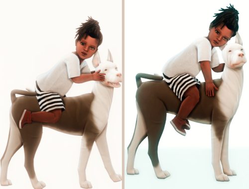 Dogs are not horses Posepack