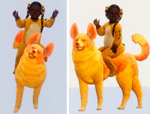 Dogs are not horses Posepack