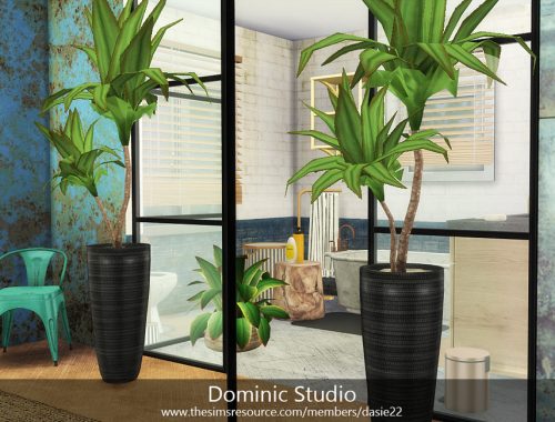 Dominic Studio