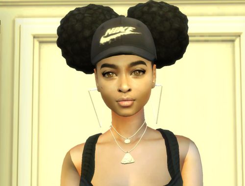 Double Puff Protective Hairstyle