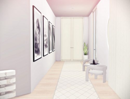 Dream Modern Entryway and Hallway