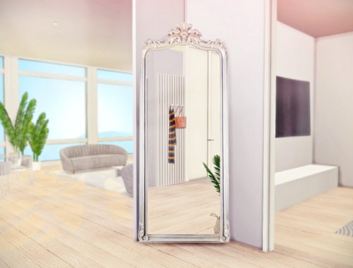 Dream Modern Entryway and Hallway