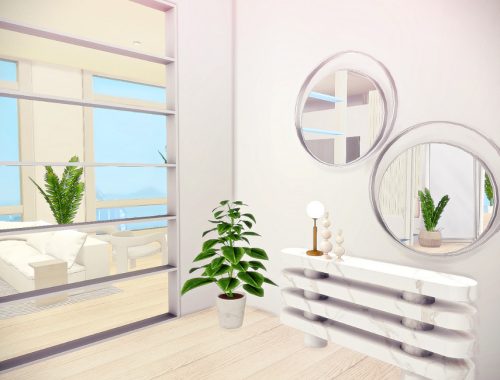 Dream Modern Entryway and Hallway