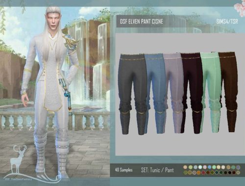 DSF OUTFIT MALE ELVES CISNE