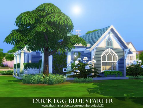 Duck Egg Blue Starter
