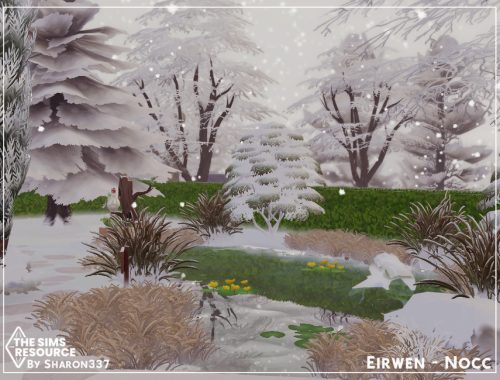 Eirwen - Nocc