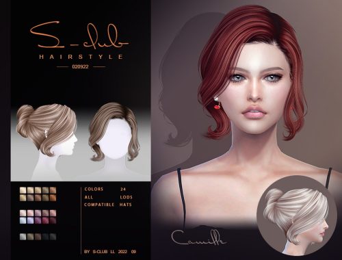 Elegante updo hairstyle (Camille020922)