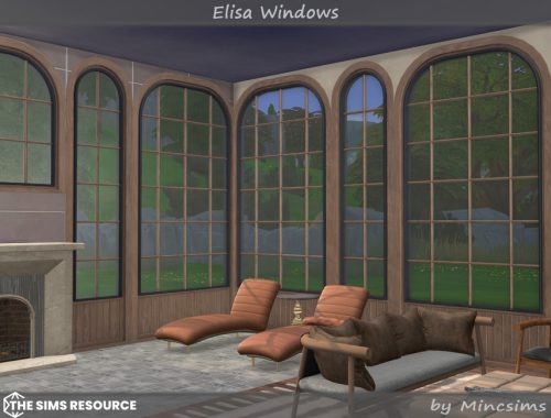 Elisa Windows