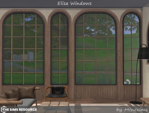 Elisa Windows