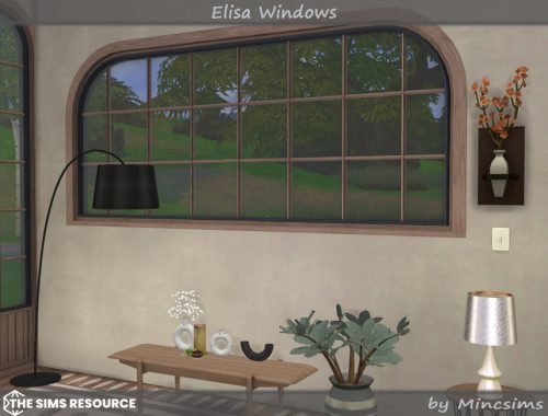 Elisa Windows