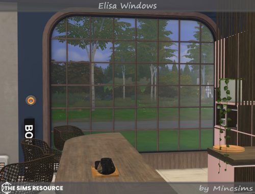 Elisa Windows