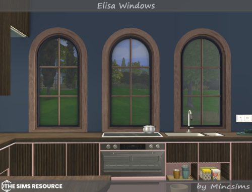 Elisa Windows