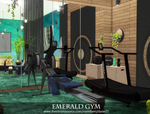 Emerald Gym