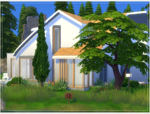 Empty Shell 4 (No CC)