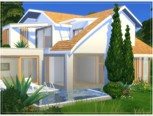 Empty Shell 4 (No CC)