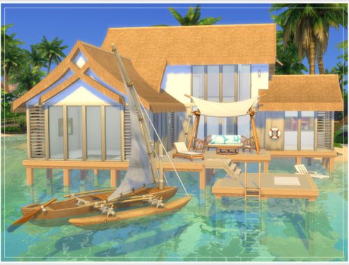 Empty Shell 5 (No CC)
