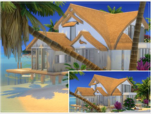 Empty Shell 5 (No CC)