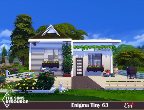 Enigma tiny 63 _TSR only CC