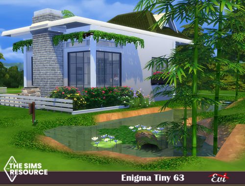 Enigma tiny 63 _TSR only CC