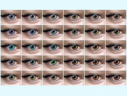 Eyes N21