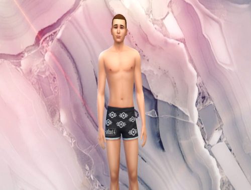 Fallout 4 T-Shirt and Shorts [SET]