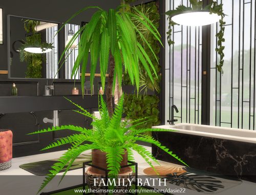 Family Bath